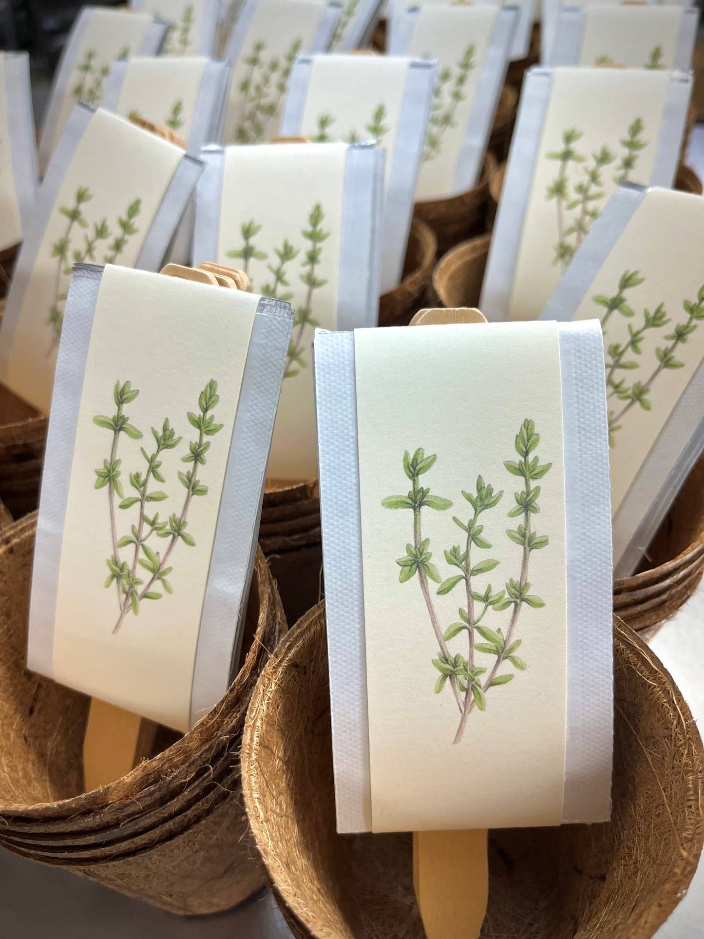 **25% OFF** Culinary Herb Garden Box