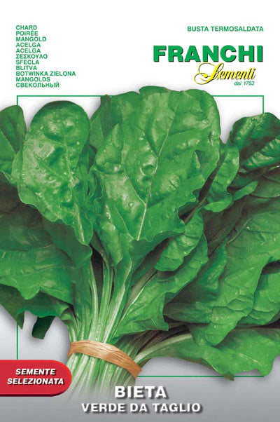 Franchi Chard