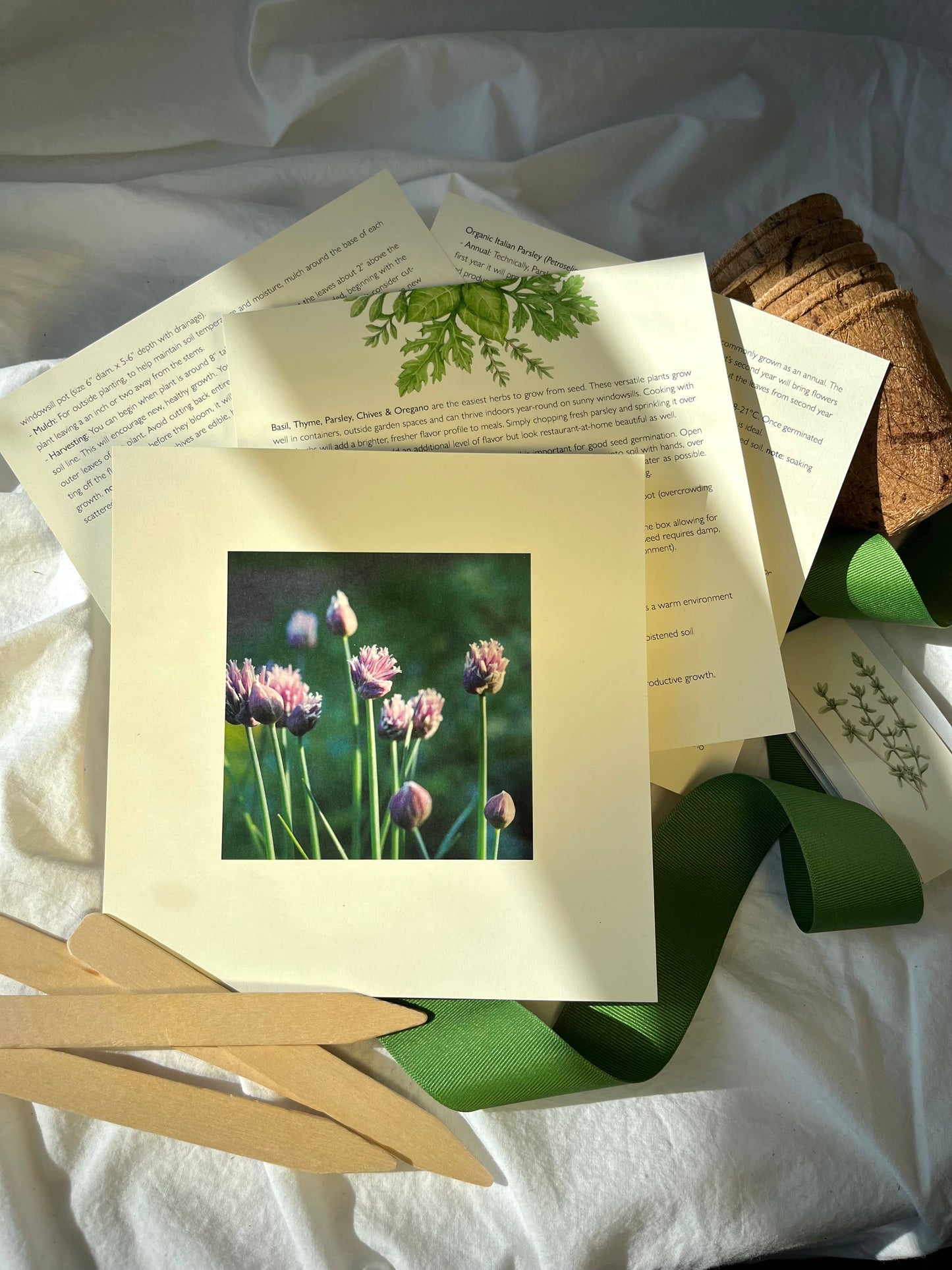**25% OFF** Culinary Herb Garden Box