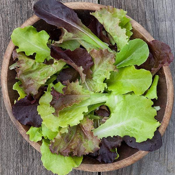 Pocket Garden, Gourmet Salad